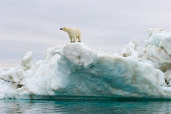 A polar bear stands atop an iceberg