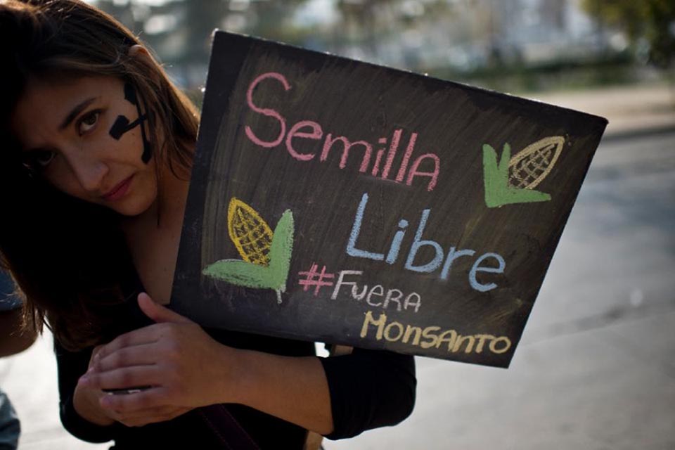 A woman holds a sign during a march against US agrochemical giant Monsanto in Santiago, Chile, on 23 May 2015.