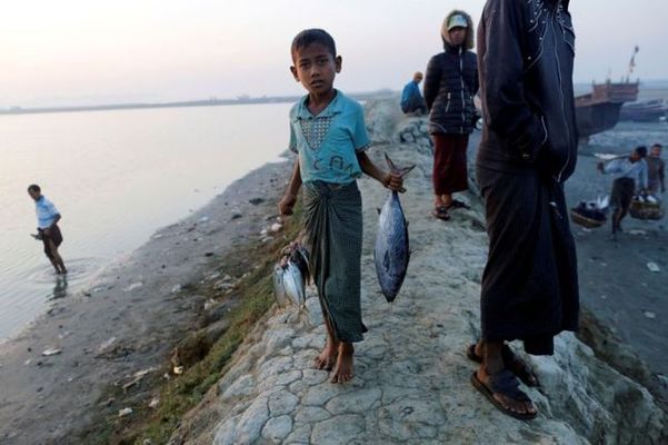 Rohingya refugee.