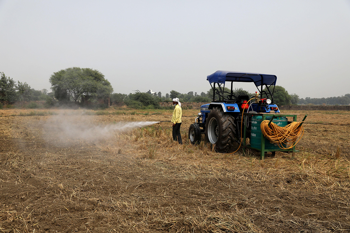 A man sprays newly-developed bio-decomposer solution in a field to prevent stubble burning, in New Delhi, India, on 13 October 2020.