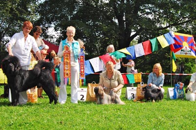 A Tibetan dog show in honour of the visit of the Dalai Lama to Tallinn